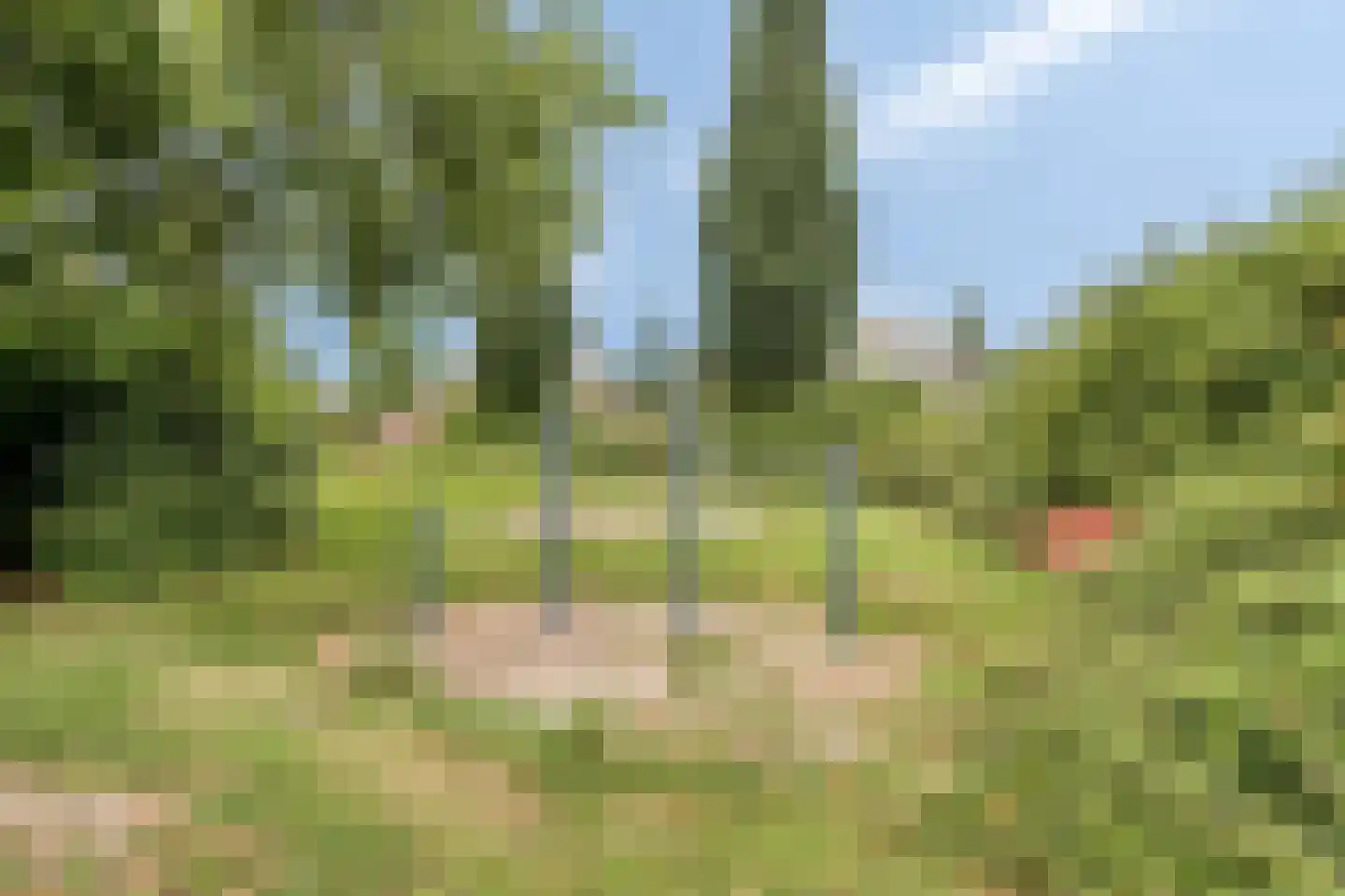 Overflakkee 58 Emmeloord thumbnail 39