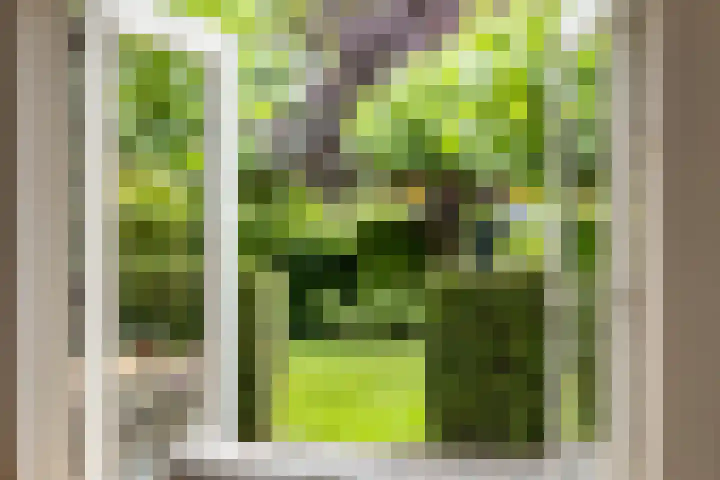 Overflakkee 58 Emmeloord thumbnail 8