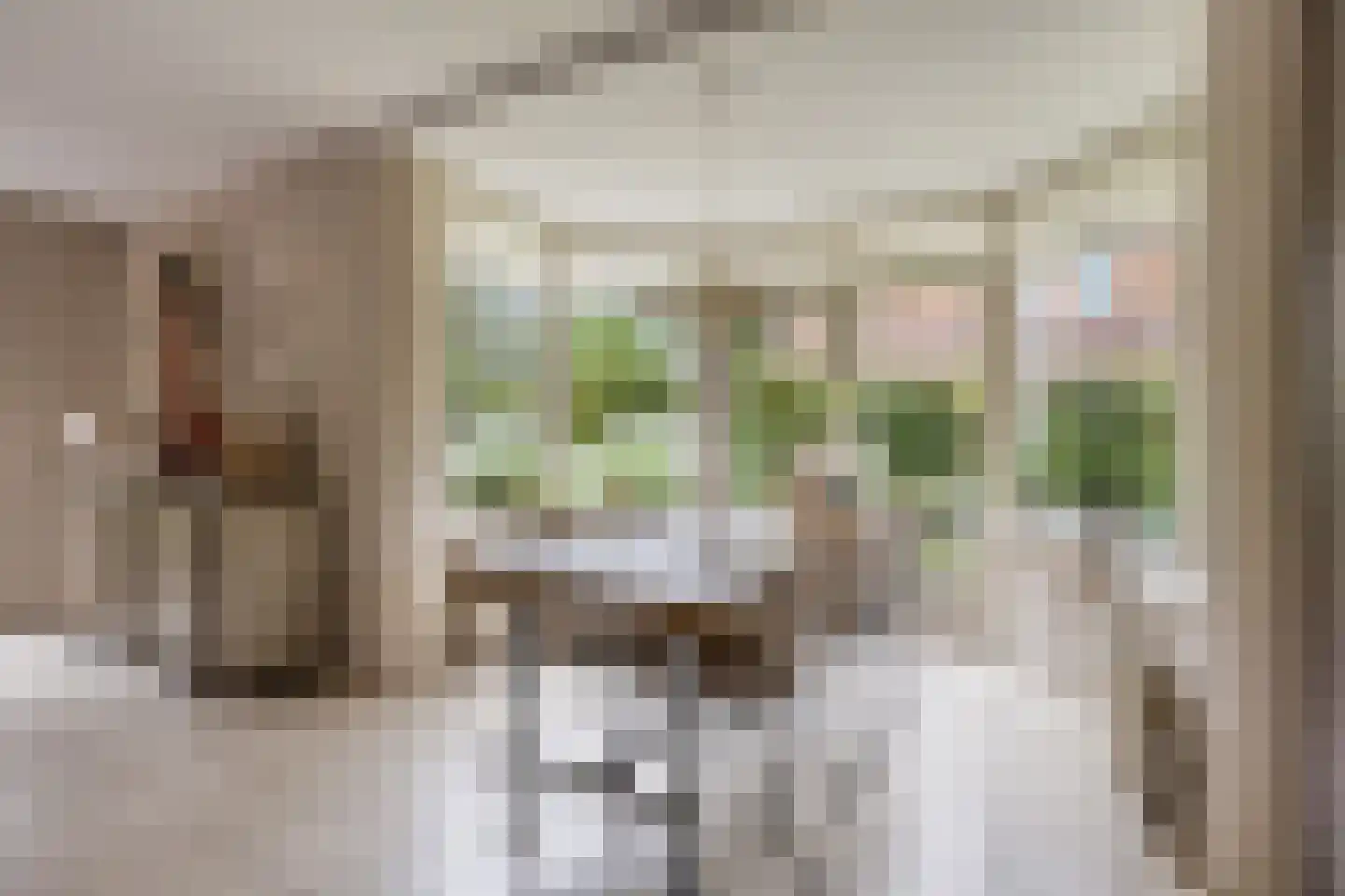 Overflakkee 58 Emmeloord thumbnail 9