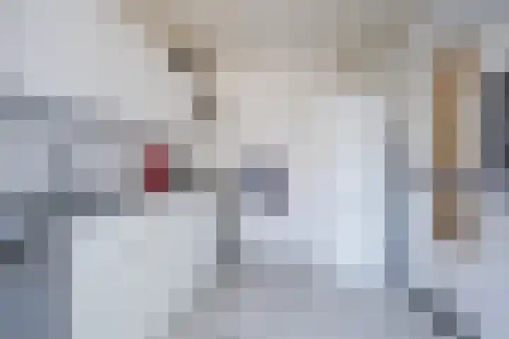 Overflakkeestraat 6 Eindhoven thumbnail 15
