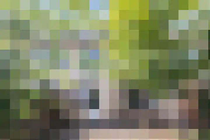 Overflakkeestraat 6 Eindhoven thumbnail 4
