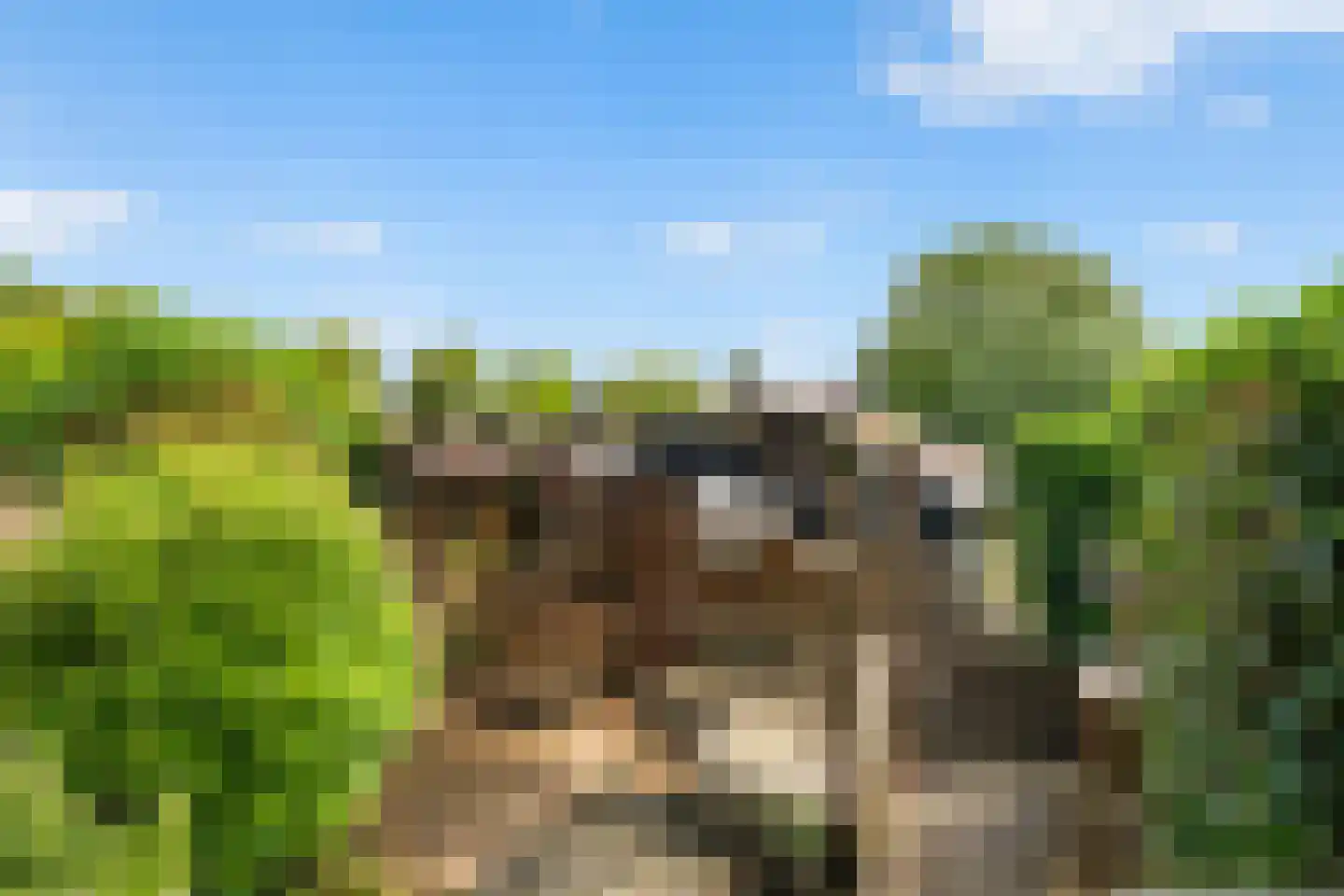 Overgauwseweg 11 Pijnacker thumbnail 20
