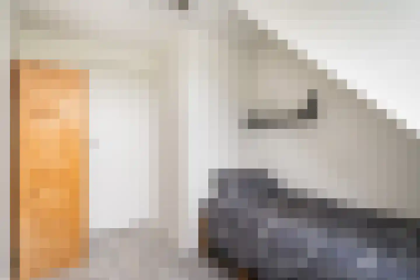 Overgauwseweg 11 Pijnacker thumbnail 30