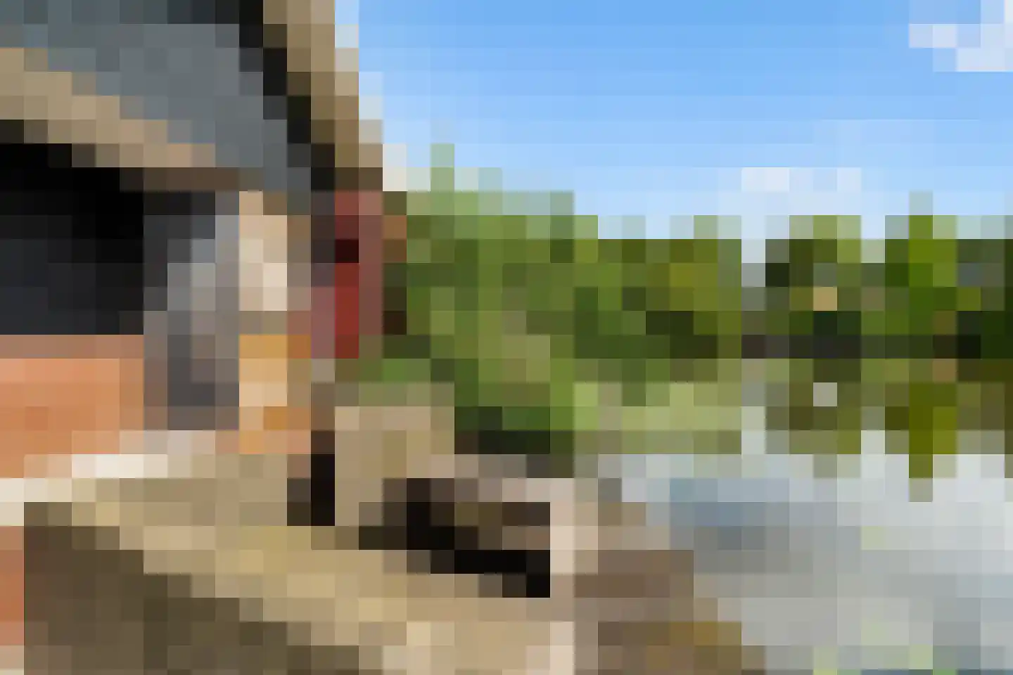 Overgauwseweg 11 Pijnacker thumbnail 9