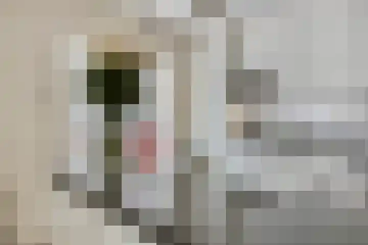 Overgauwseweg 22 Pijnacker thumbnail 14