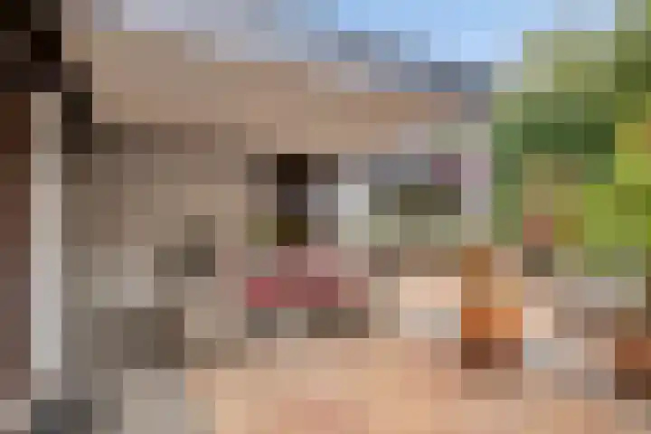 Overgauwseweg 22 Pijnacker thumbnail 25