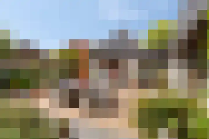 Overgauwseweg 22 Pijnacker thumbnail 26