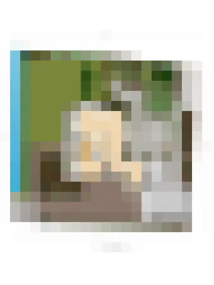 Overgauwseweg 22 Pijnacker thumbnail 35