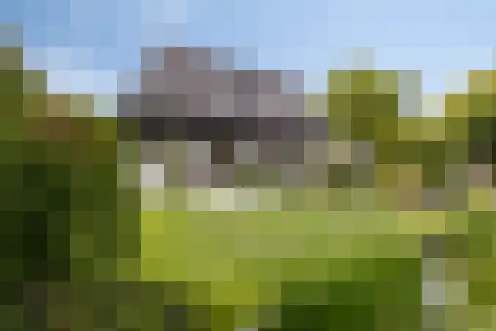Overgauwseweg 22 Pijnacker thumbnail 7