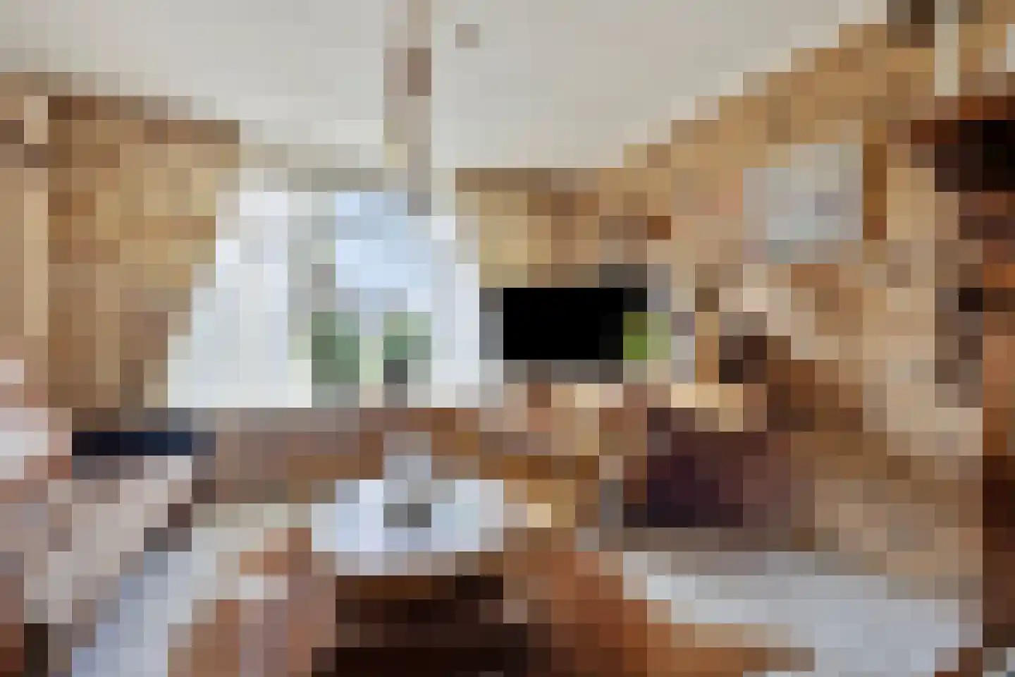 Overgauwseweg 45 Pijnacker thumbnail 9