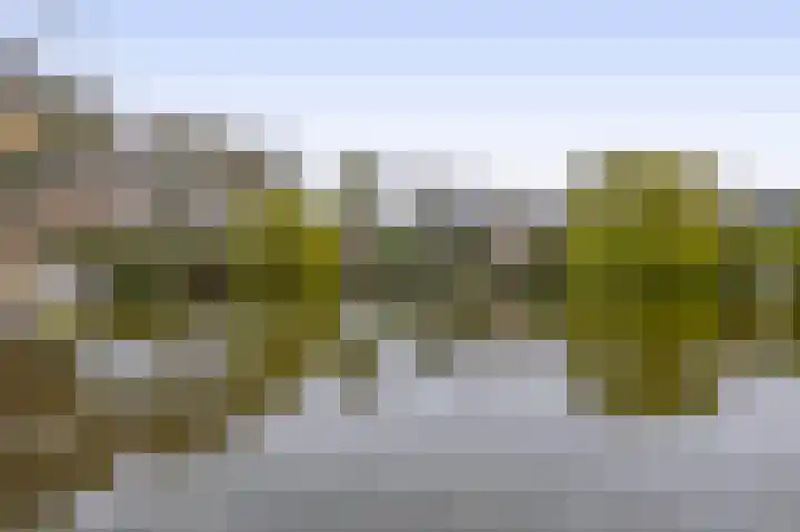 Overgauwseweg 5 Pijnacker thumbnail 16