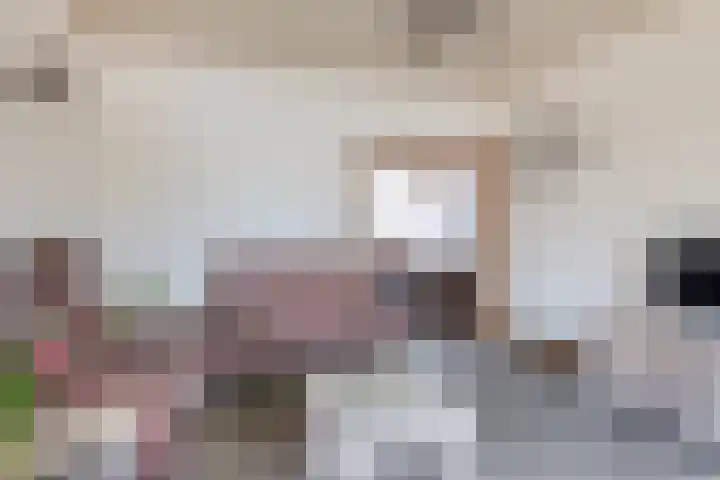 Overgauwseweg 5 Pijnacker thumbnail 6