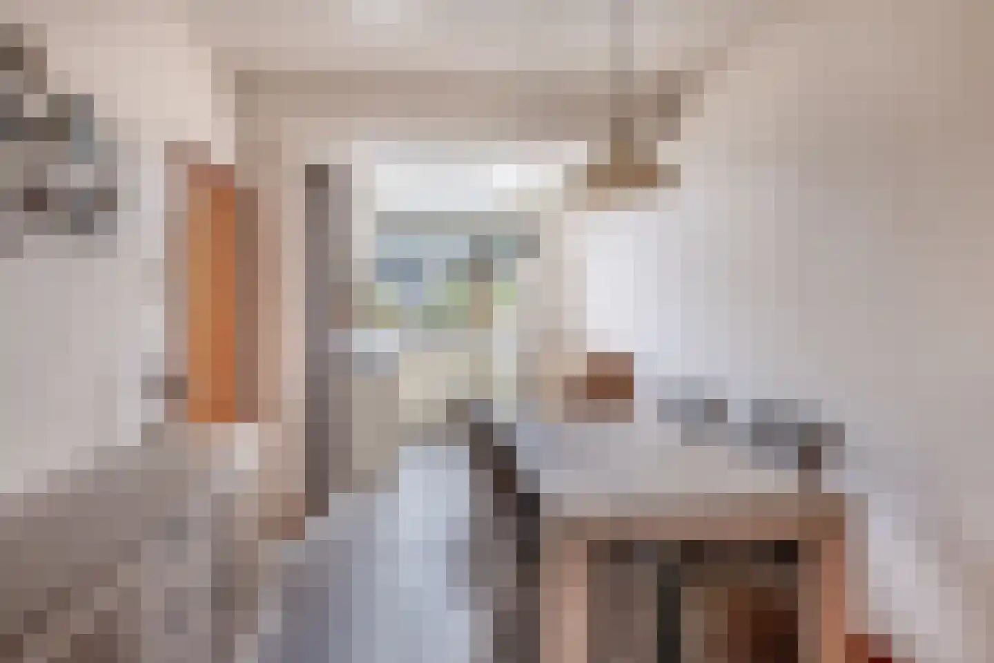 Overgauwseweg 5 Pijnacker thumbnail 7
