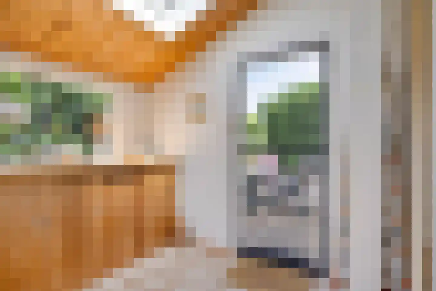 Overgauwseweg 75 Pijnacker thumbnail 22