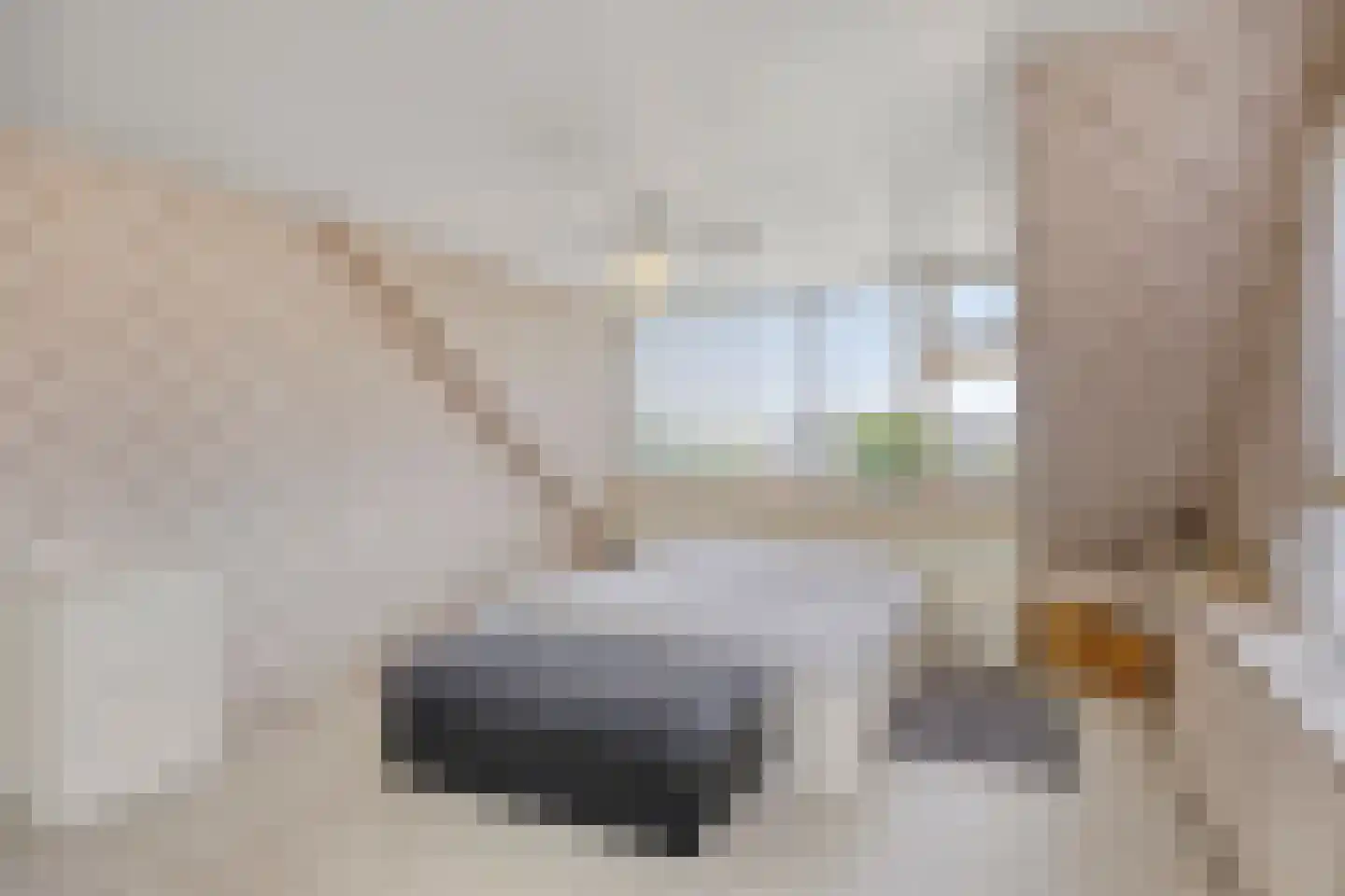 Overgauwseweg 75 Pijnacker thumbnail 33