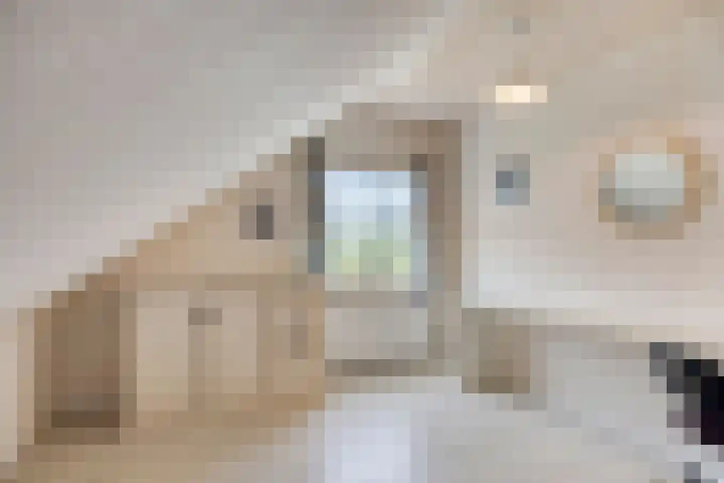 Overgauwseweg 75 Pijnacker thumbnail 37