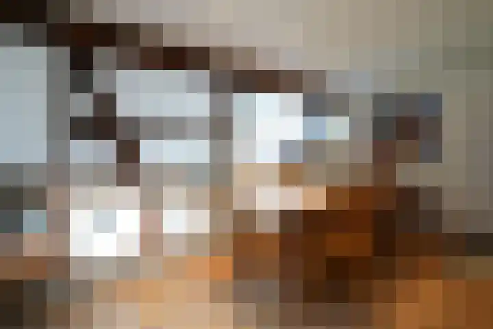 Overgeul 8 A Mechelen thumbnail 10