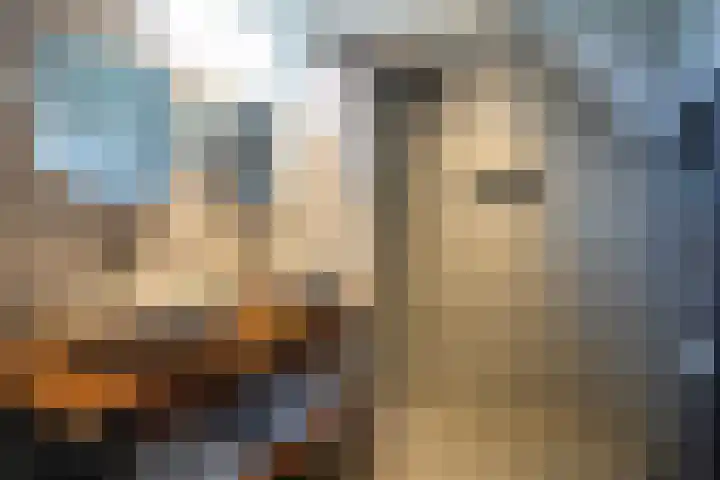 Overgeul 8 A Mechelen thumbnail 16