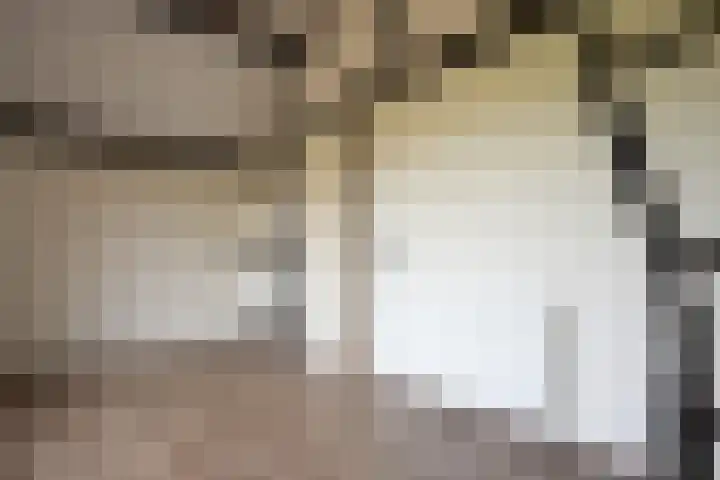 Overgeul 8 A Mechelen thumbnail 23