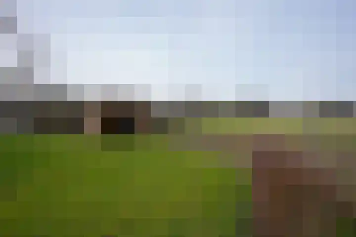 Overgeul 8 A Mechelen thumbnail 41