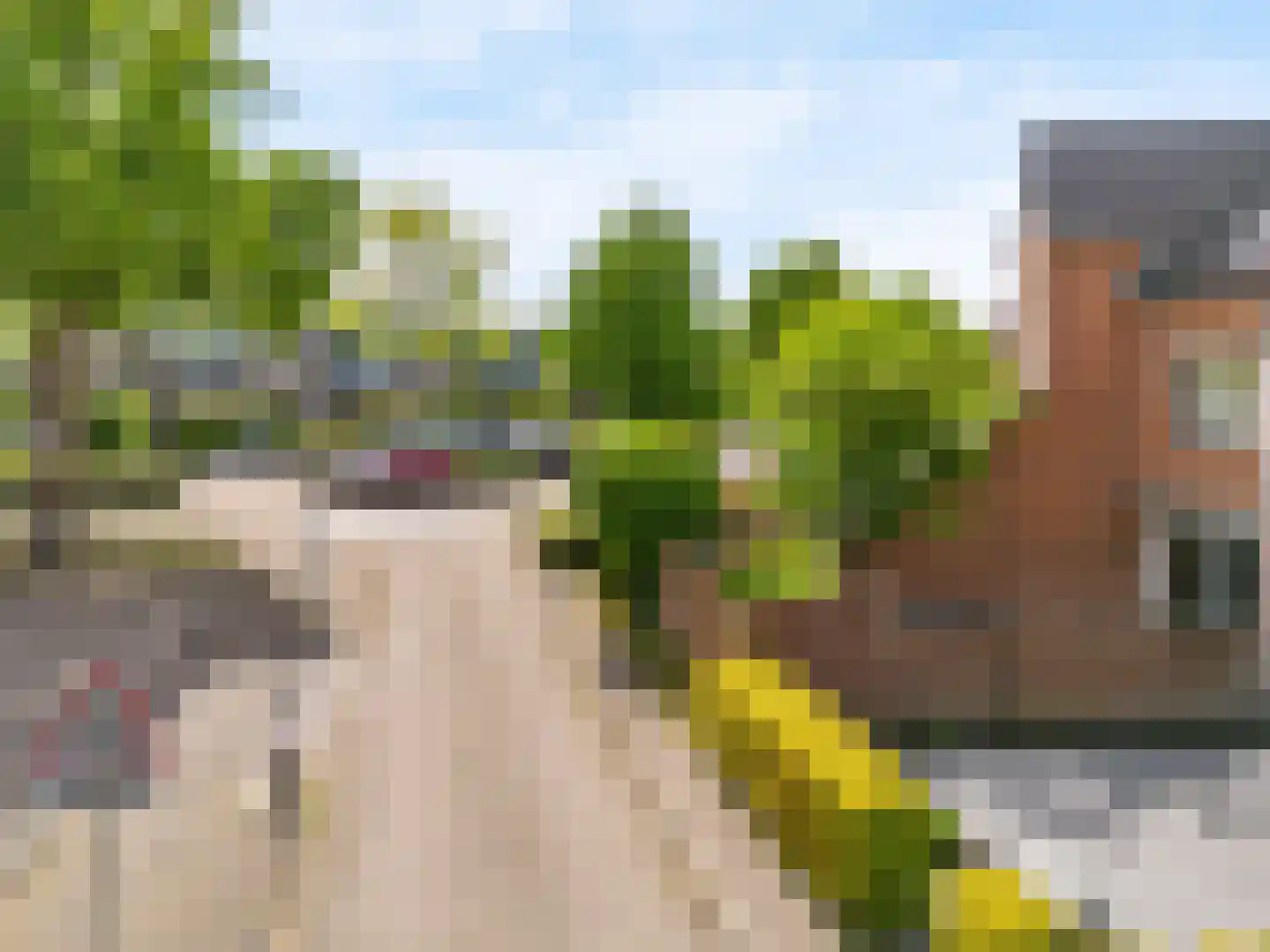Overgouw 28 Almere thumbnail 44