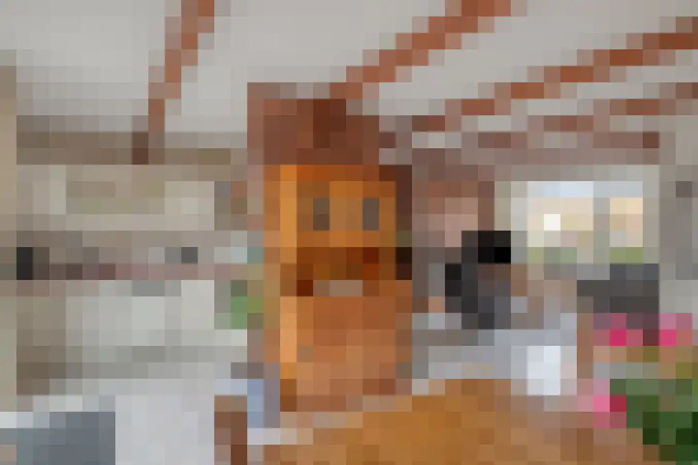 Overgouw 37 Almere thumbnail 12