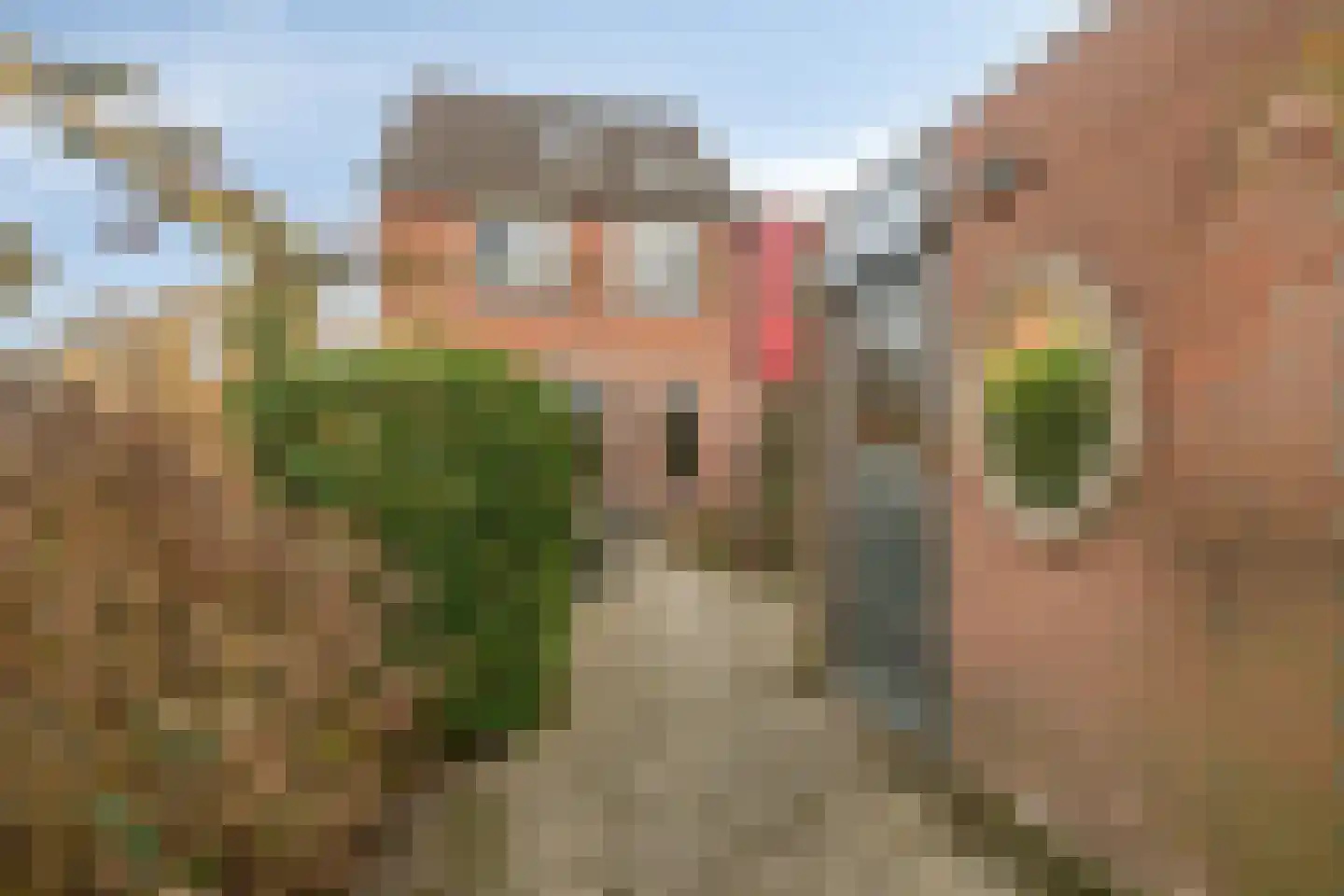 Overgouw 37 Almere thumbnail 30