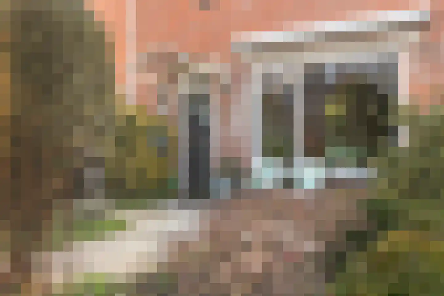 Overgouw 37 Almere thumbnail 5