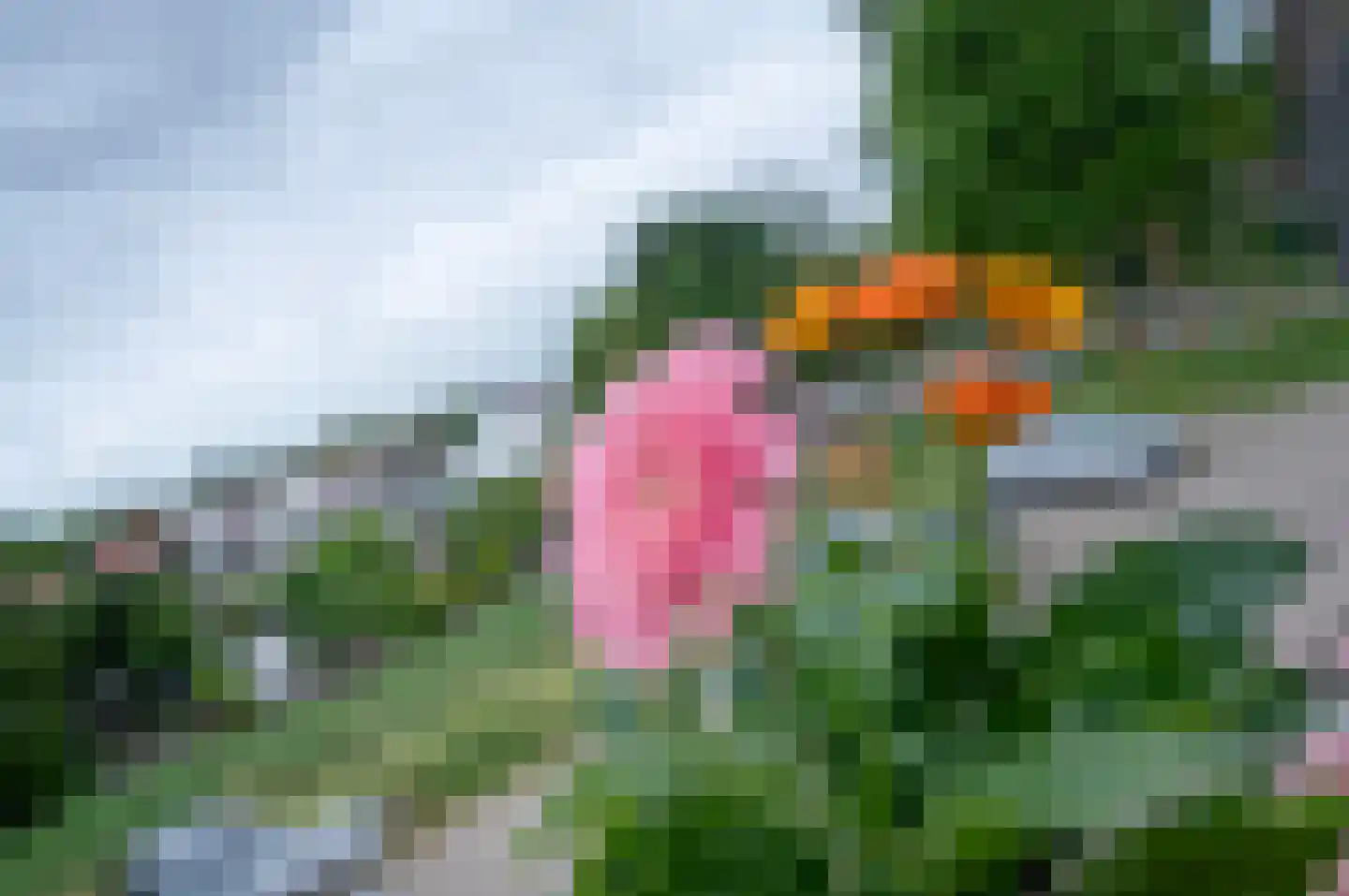 Overgouw 97 Almere thumbnail 28