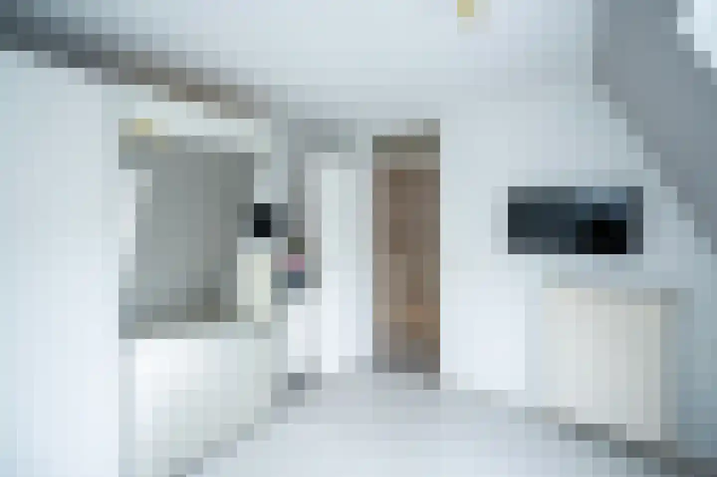 Overgouw 97 Almere thumbnail 35