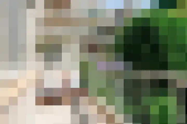 Overhaalsgang 4 Amsterdam thumbnail 18