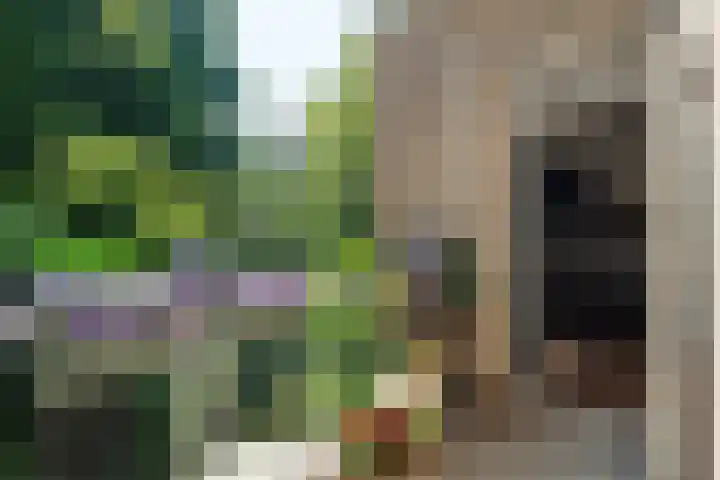 Overhaalsgang 4 Amsterdam thumbnail 20