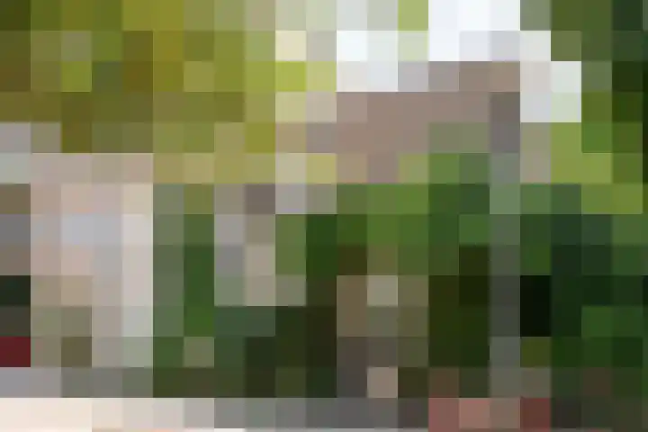 Overhaalsgang 4 Amsterdam thumbnail 40