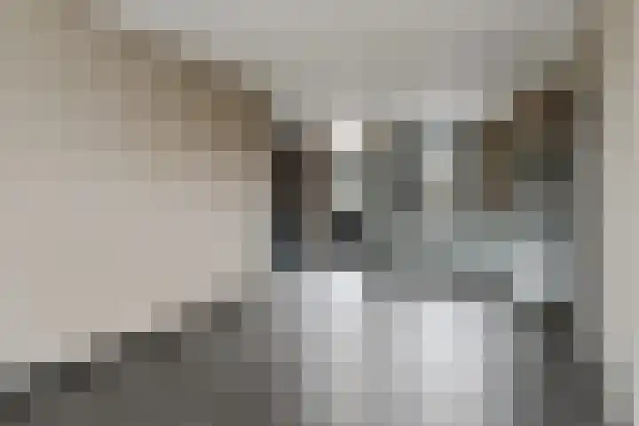 Overhaelen 1 Haelen thumbnail 11
