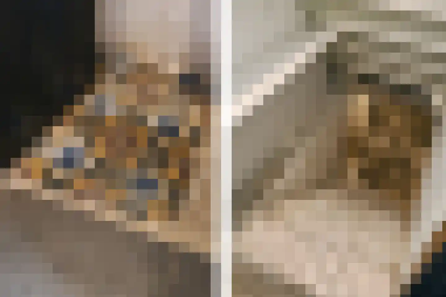Overhaelen 1 Haelen thumbnail 14