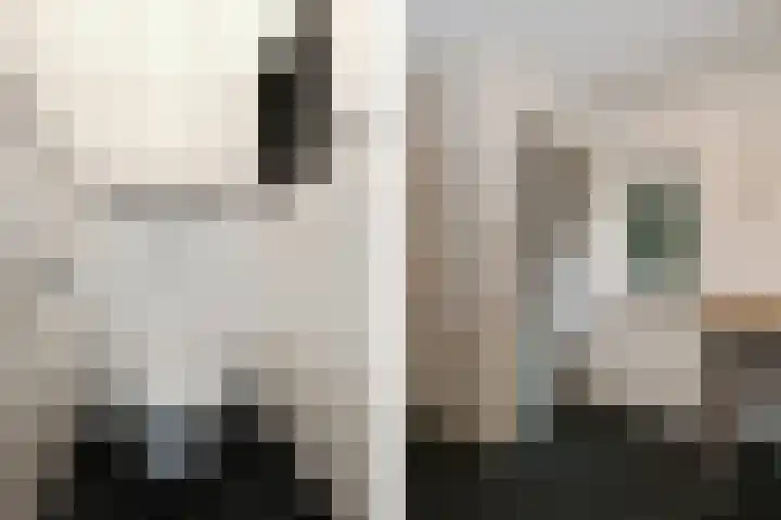 Overhaelen 1 Haelen thumbnail 15