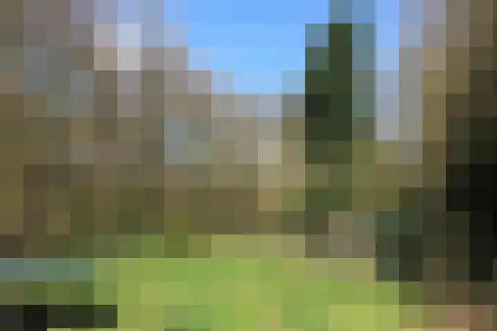 Overhaelen 1 Haelen thumbnail 18