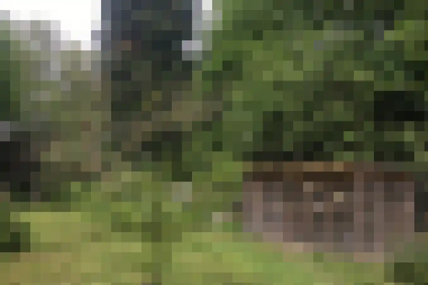 Overhaelen 1 Haelen thumbnail 19