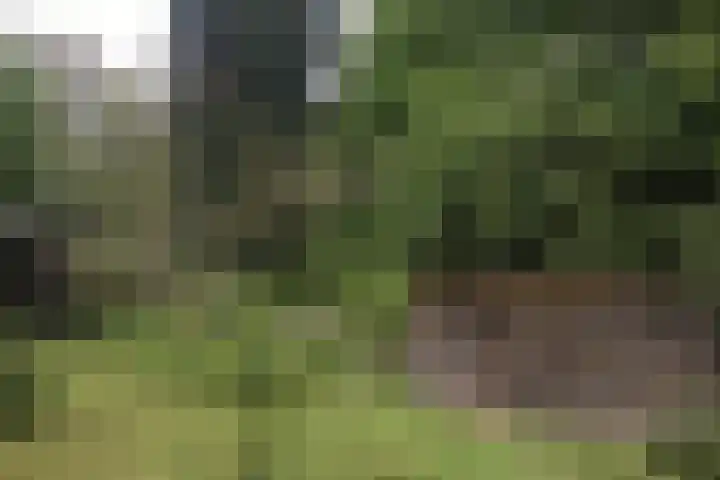 Overhaelen 1 Haelen thumbnail 19