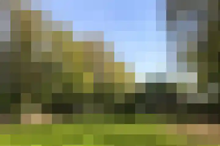 Overhaelen 1 Haelen thumbnail 20