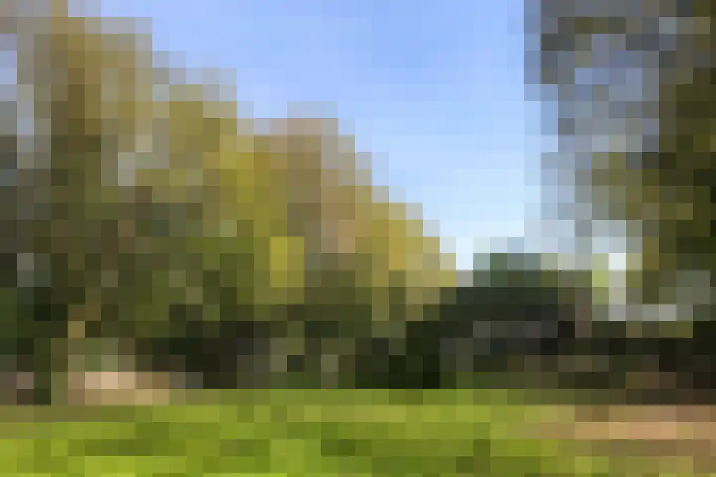 Overhaelen 1 Haelen thumbnail 20