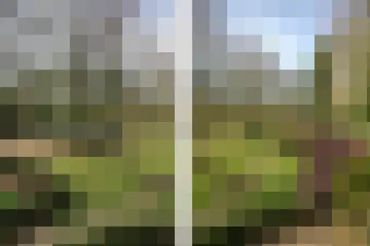 Overhaelen 1 Haelen thumbnail 21