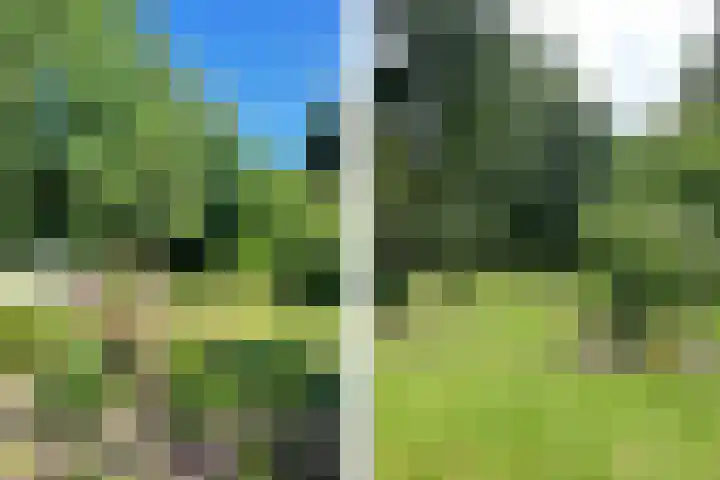 Overhaelen 1 Haelen thumbnail 22