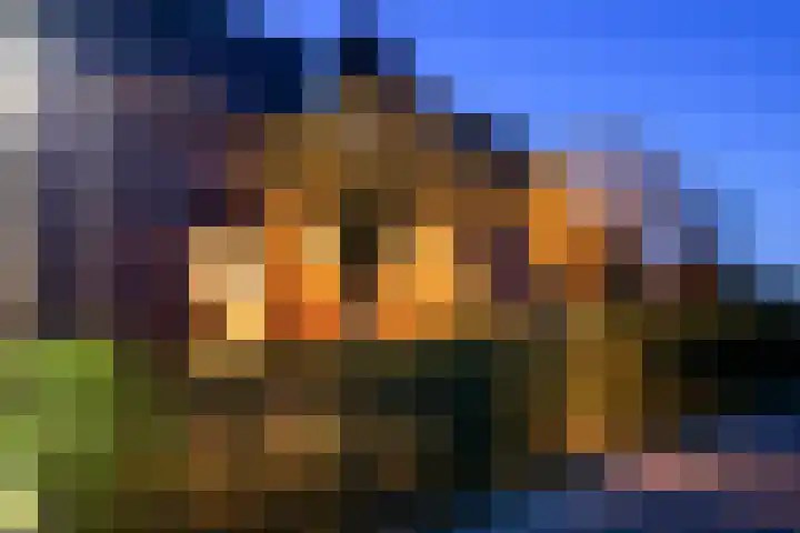 Overhaelen 1 Haelen thumbnail 23
