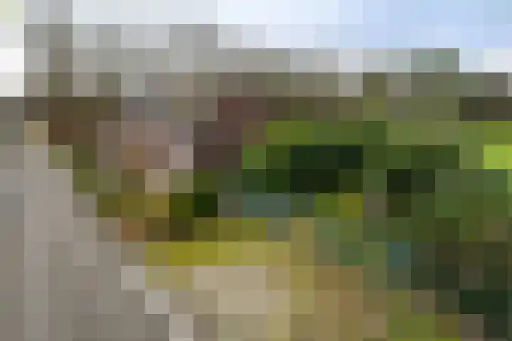 Overhaelen 1 Haelen foto 3