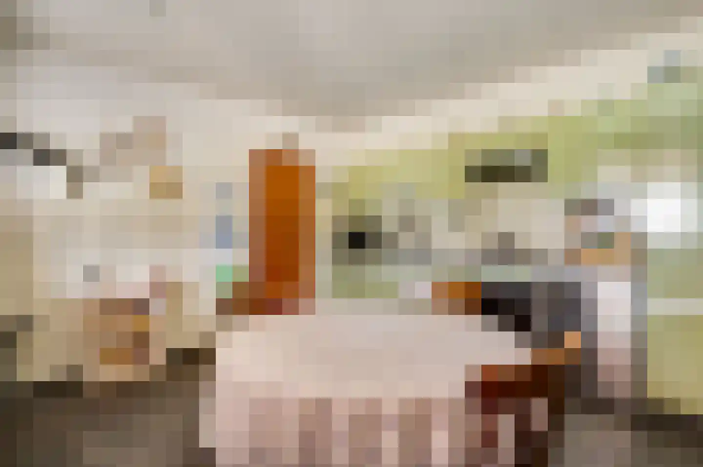 Overhaelen 6 Haelen thumbnail 13