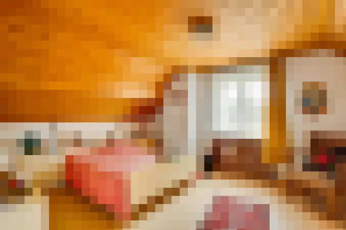 Overhaelen 6 Haelen thumbnail 25