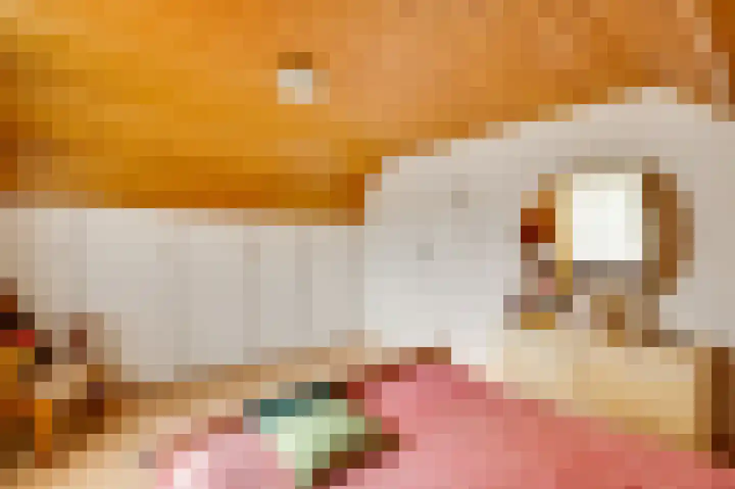 Overhaelen 6 Haelen thumbnail 26