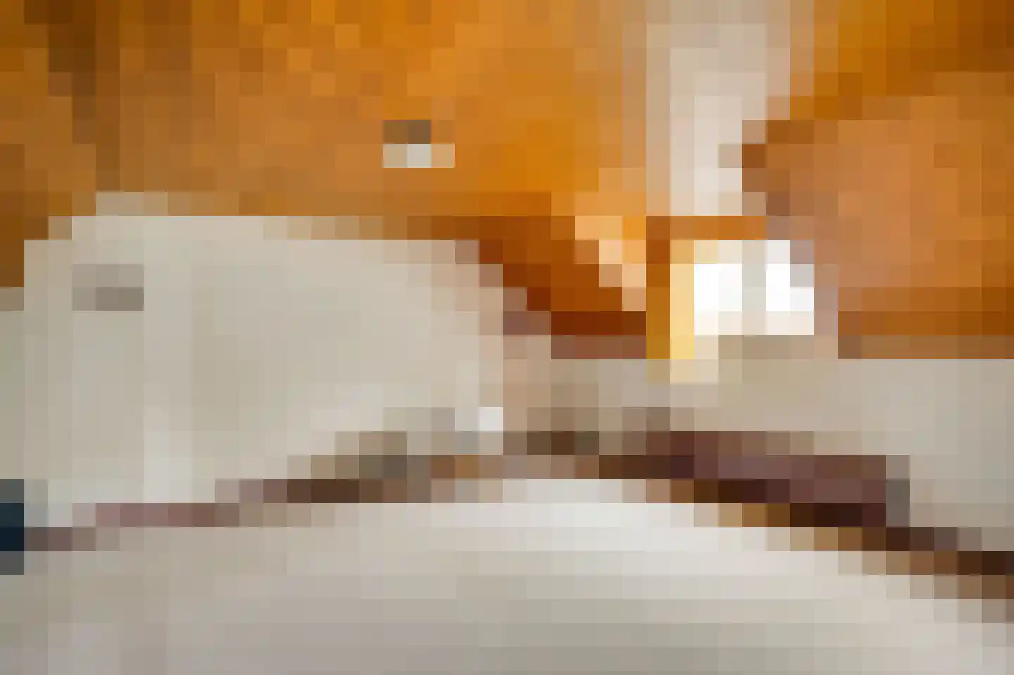 Overhaelen 6 Haelen thumbnail 27