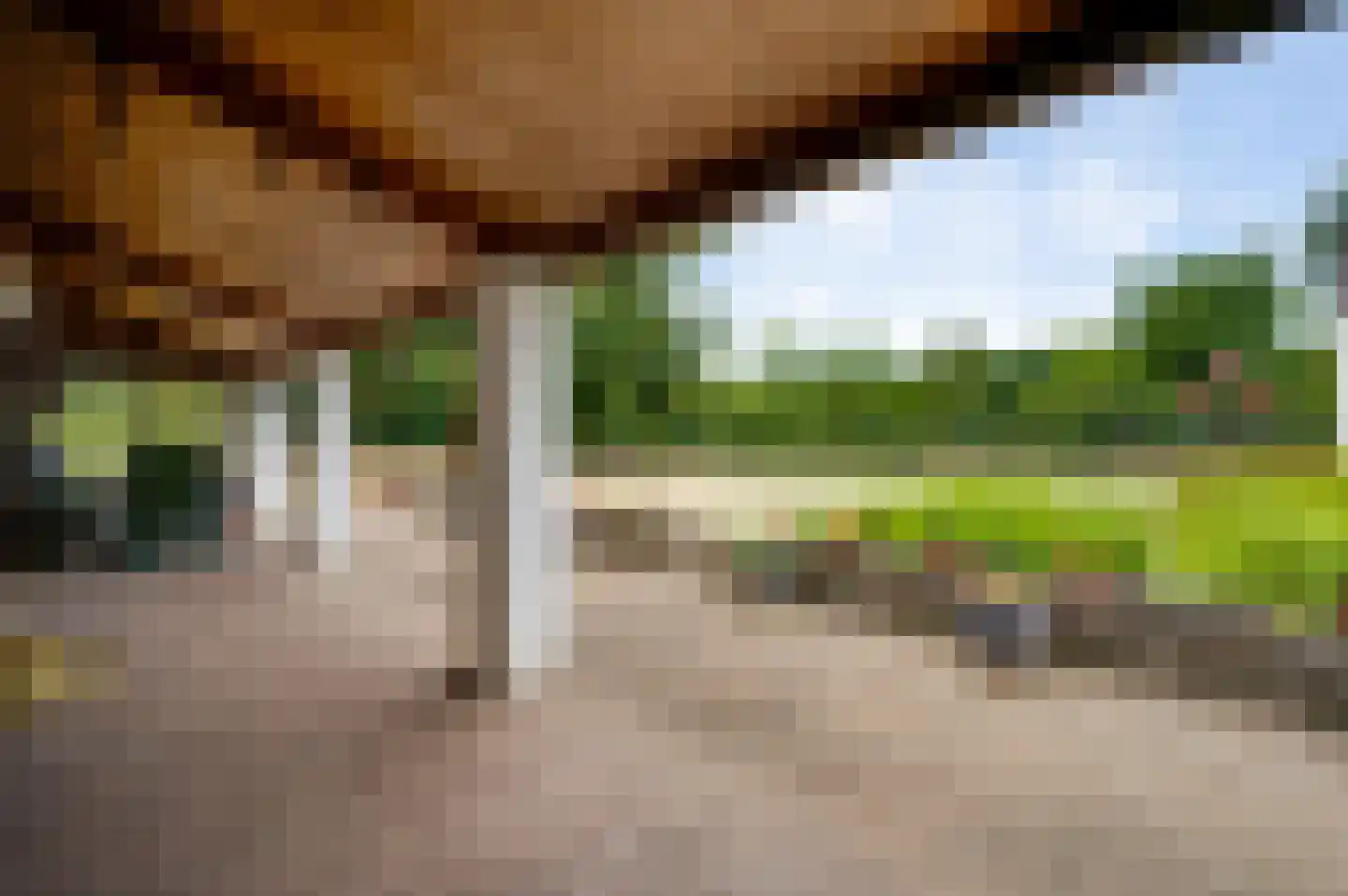 Overhaelen 6 Haelen thumbnail 32